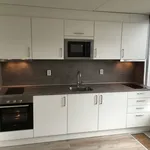 Huur 4 slaapkamer appartement van 145 m² in Amsterdam