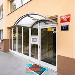 Rent 3 bedroom apartment of 73 m² in Praha