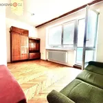 Rent 1 bedroom apartment of 22 m² in Slavkov u Brna