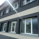 Rent 1 bedroom apartment in Beroun