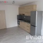 Rent 1 bedroom apartment of 30 m² in Havlíčkův Brod