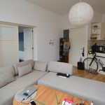 Rent 3 bedroom apartment in Delft