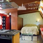 Rent 1 bedroom apartment of 40 m² in Mexico City