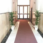 Rent 3 bedroom apartment in Rome