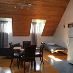  appartement avec 1 chambre(s) en location à Montreal