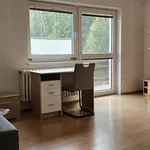 Rent 1 bedroom apartment of 170 m² in Brno