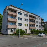 Rent 2 bedroom apartment of 63 m² in stresovice