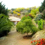 CHALET CON ORIENTACIÓN SUR