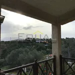 Ενοικίαση 3 υπνοδωμάτιο σπίτι από 240 m² σε Rafina municipal unit