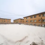 1 bedroom apartment of 398 sq. ft in Edmonton