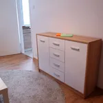 Rent 1 bedroom apartment of 27 m² in Poznan