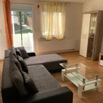 Rent 3 bedroom apartment of 65 m² in Wolfsburg