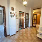 Rent 5 bedroom apartment of 181 m² in Foggia