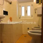 Rent 2 bedroom apartment of 48 m² in Cuneo