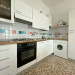 Rent 3 bedroom apartment of 60 m² in Pisa