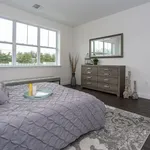 Rent 1 bedroom apartment in Huntington Station