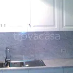 Rent 3 bedroom apartment of 103 m² in Roma