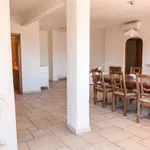 Rent 5 bedroom apartment of 94 m² in Monte Argentario