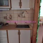 Rent 1 bedroom apartment of 1 m² in Nový Bor