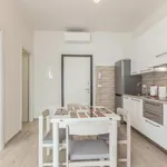 Rent 1 bedroom apartment in Bologna