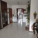 Rent 3 bedroom apartment of 90 m² in Novara