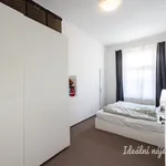 Rent 2 bedroom apartment of 50 m² in Prague