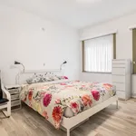 Rent 1 bedroom apartment in Kortrijk