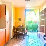 Rent 2 bedroom apartment of 50 m² in Arezzo