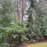 Rent 2 bedroom apartment of 64 m² in Vantaa