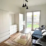 Rent 3 bedroom apartment of 50 m² in Rzeszów