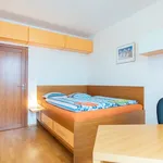 Pronajměte si 3 ložnic/e byt o rozloze 86 m² v Prague