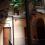 Rent 1 bedroom apartment of 33 m² in Turin