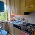 Rent 5 bedroom apartment of 131 m² in Modena