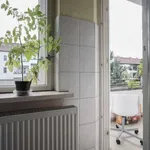 Rent a room of 90 m² in berlin