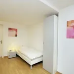 Miete 1 Schlafzimmer wohnung von 21 m² in Zürich