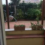 Rent 1 bedroom apartment of 45 m² in Roma