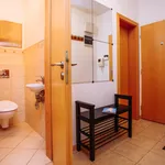 Rent 1 bedroom apartment of 60 m² in Prague