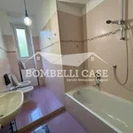 Rent 2 bedroom apartment of 74 m² in Milano