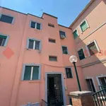 Rent 2 bedroom apartment of 50 m² in Naples