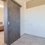 Pronajměte si 1 ložnic/e dům o rozloze 210 m² v Veselí nad Lužnicí