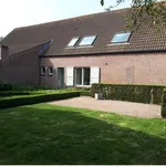 Rent 5 bedroom house in Kalmthout