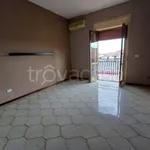 Affitto 3 camera appartamento di 110 m² in Catania