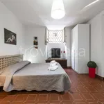 Rent 2 bedroom apartment of 50 m² in Firenze