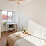 Rent 4 bedroom apartment in Valencia