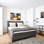 Rent 1 bedroom apartment of 32 m² in Cologne