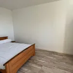 Appartement de 44 m² avec 2 chambre(s) en location à Limoges