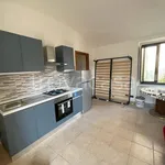 Rent 2 bedroom apartment of 55 m² in Torino