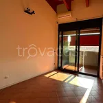 Rent 2 bedroom apartment of 50 m² in Bologna