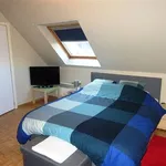 Huur 2 slaapkamer appartement in OORDEGEM