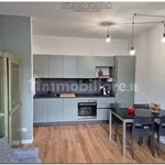 Rent 2 bedroom apartment of 60 m² in Turin